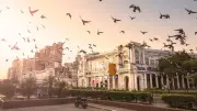 Beyond the Dilli Smog: A Warm Recast of India's Capital