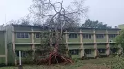 Bharathiar University Forms Building Committee After Rain Damage