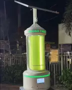Bhopal Installs India's First Algae Tree to Combat Air Pollution