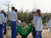 Biodiversity Day Marked at CG City Wetland in Lucknow