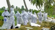 Bird Flu Outbreak in Maharashtra's Navapur, Culling Underway