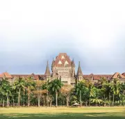 Bombay HC Directs BMC to Issue QR Code ID Cards for 99,000 Hawkers in 5 Weeks