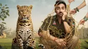 Box Office Report: Pati Patni Aur Woh, Do Chand, Mera Dil, Karuppu, Drishyam 3