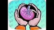 Brain-Dead Youth's Organs Donated in Madurai, Saving Five Lives