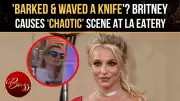 Britney Spears Accused of Barking, Waving Knife at LA Restaurant