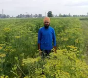 BTech Grad Finds Peace and Purpose in Organic Farming