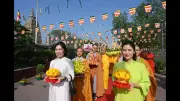 Buddha Jayanti Celebrations Extended to Hospitals in Gaya