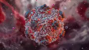 Can US Tackle Hantavirus Alone After WHO Exit?