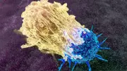 Cancer's 'Pre-Diagnosis Phase': When Symptoms Exist but Answers Don't