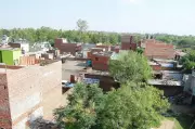 Central govt adopts Punjab law for land records in Chandigarh's abadi deh