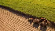 Centre Hikes Sugarcane FRP by Rs 10 to Rs 365 Per Quintal for 2026-27
