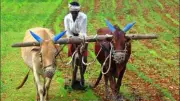 Centre to Replace MGNREGA with New Rural Employment Law from July 1, 2026