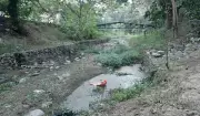 Chandigarh Mayor Urges Immediate Desilting of N-Choe and Patiala Ki Rao