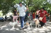 Chennai Pet License Deadline Extended to June 15, Penalty of 5,000 From June 16