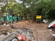 Chennai's Miyawaki Forest Turns Into Safety Hazard for Residents