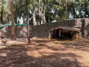 Chhatbir Zoo Implements Extensive Measures to Protect Animals from Summer Heat