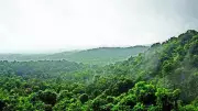 Chikkamagaluru District Preps for Monsoon: DC Issues Directives