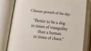 Chinese Proverb: Better to Be a Dog in Peace Than Human in Chaos