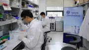 Chinese Scientists Develop Potential Nuclear Radiation Shield Therapy