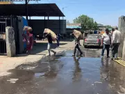 Choked drains in Pune's Gultekdi Market Yard remain unresolved weeks after PMC-APMC joint visit