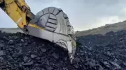 Coal India OFS: Govt to Sell 2% Stake at Rs 412/Share Floor Price
