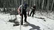 Colorado Wildfire Drills Prepare for Worst Season in US West