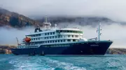 Cruise ship adrift after deadly hantavirus outbreak kills three, sickens many