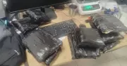 Customs Seize 5 Kg Hydroponic Ganja Worth Rs 5 Crore at Trichy Airport