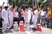 Dairy Farmers Protest Fake Milk Products Outside DC Office