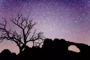 Dark Sky Parks: Best US Destinations for Stargazing Away from Light Pollution