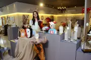 Decor Studios Lifestyle Stores Redefine Modern Living Spaces