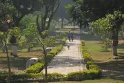 Delhi Govt Plans Major Increase in Funding for Parks and Green Spaces