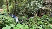 Dharmasthala Case: SIT Officials Revisit Banglegudde Forest Area