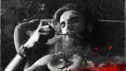 Dhurandhar 2 Nears Rs 2000 Crore Worldwide, Chases Pushpa 2 Record