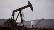 Domestic crude oil futures fall amid weak spot demand
