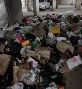 Door-to-door waste collection resumes in Manesar from Sunday after dispute