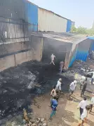 Dwarka Expressway Fire at Unregistered Plastic Unit, Fire Tenders Struggle to Reach