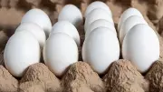 Eating 5 Eggs Daily Lowers Alzheimer's Risk by 27% for Seniors Aged 65+