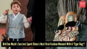 Elon Musk's Son Lil X's Tiger Bag Becomes Viral Sensation in China