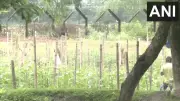 Fencing begins along India-Bangladesh border in Siliguri after land transfer