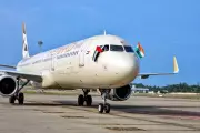 Flight to Abu Dhabi With 280 Passengers Aborts Journey After Wing Fire