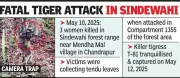 Four women killed in single tiger attack in Maharashtra's Chandrapur