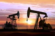 Fuel Price Hike Sparks Debate on OMC Profits Amid Middle East Crisis