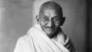 Gandhi's Quote on Animal Treatment as a Measure of National Progress