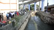 GBA Chief Maheshwar Rao Urges Permanent Fix for Banerghatta Road Waterlogging