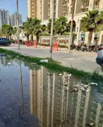 Ghaziabad Residents Complain of Stagnant Sewage Water Near Luxury Condos