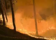 Goa braces for intense forest fire season due to El Nino, rising temperatures