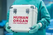 Green Corridor Established for Organ Transport in Chandigarh