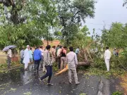 Gujarat Districts Hit by Sudden Rain, Hail, and Strong Winds