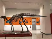 Hadrosaurus Discovery in New Jersey Changed Paleontology Forever